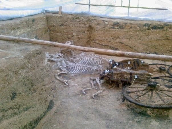 Grab: Pferde mit Wagen